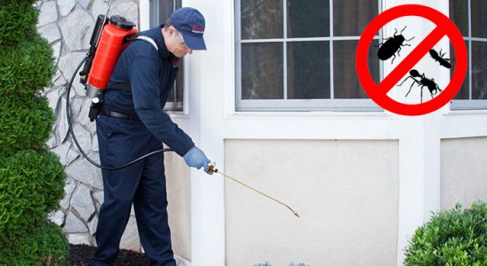 Gölcük Hamam Böceği İlaçlama böcek ilaçlama ve haşere kontrolü — ilaclama-tr.com